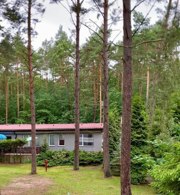 Osrodek Wypoczynkowy Zakatek Villa Katy Rybackie Luaran gambar